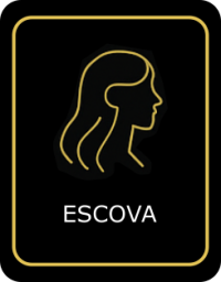 japa_escova